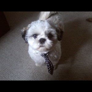 Meet your Posher, Scott